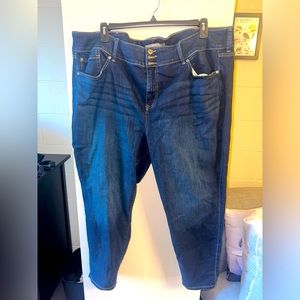 Size 28R torrid skinny Jeans